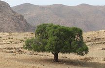 Tafraout and Tiznit Guided Day Tour from Agadir