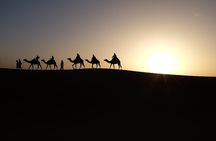 Jaisalmer Half Day Desert Safari Tour