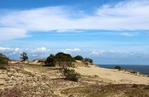 Day Tour to Curonian Spit a Treasure on the Baltic Sea