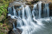 The Adventure Tour: Vallée des Couleurs & La Vanille Nature Parks & Gris Gris