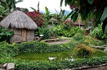 Coffee plantation and Antigua combo