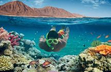 Sharm el-Sheikh: Ras Muhammad Snorkel and Desert Safari