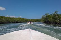 Speedboat and snorkel tour: Single Passenger Boat