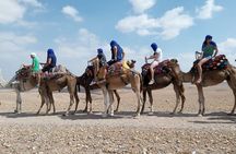 Quad bike & Camel ride Agafay & dinner at Chouf L’Or Restaurant