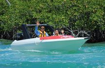 Cancun speedboat and snorkel tour: shared speedboat