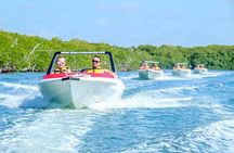 Cancun speedboat and snorkel tour: shared speedboat