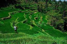 Tete Batu, Rice Terrace View with Waterfall, Original Lombok Tour 