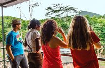 Ebony Forest Reserve Chamarel: Endemic Birdwatching Guided Tour