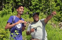 Ebony Forest Reserve Chamarel: Endemic Birdwatching Guided Tour