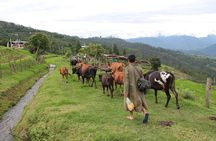 7 Days In The Magical Kingdom of Bhutan