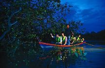 Kuala Selangor Fire Fly Tour - Sharing