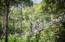 Ebony Forest Reserve Chamarel: Sublime Sundowner