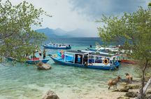 Snorkeling & Trekking at West Bali National Park