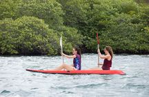 Snorkeling & Trekking at West Bali National Park