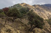 Khopra Danda Trek