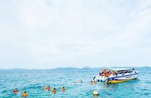 Phi Phi Half Day Tour Speed Boat Tour