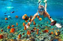 Phi Phi Half Day Tour Speed Boat Tour