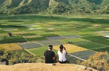 Sembalun Package.. (Special Rice Terrace View) 