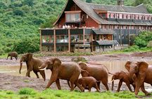 5 Days Aberdares Lake Nakuru & Masai Mara Wildlife Safari