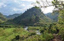 5 Days Aberdares Lake Nakuru & Masai Mara Wildlife Safari