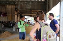 Customs and Culture Half Day Walk and Bike Tour in Battambang