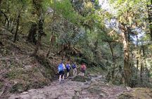 Annapurna Base Camp Trek