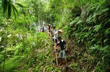Experience Authentic Balinese Village Life on a Day Trip - Ubud