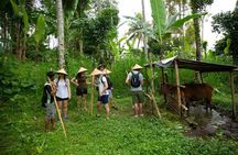 Experience Authentic Balinese Village Life on a Day Trip - Ubud