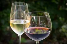 Ston and Peljesac with Wine Tasting Private Tour