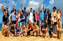 Full-Day Oahu Tour by Bus