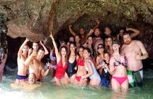 Full-Day Oahu Tour by Bus