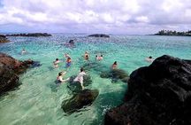 Full-Day Oahu Tour by Bus