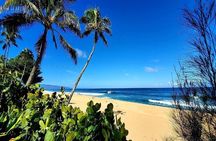 Full-Day Oahu Tour by Bus