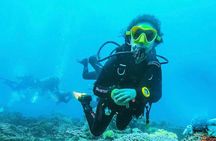 All Inclusive Bali Scuba Diving at Tulamben with Lunch -Transport