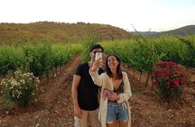 Wine tasting in Vieste