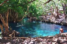 Kikuletwa Hotspring Day Trip