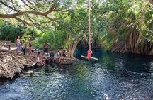 Kikuletwa Hotspring Day Trip