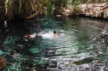 Kikuletwa Hotspring Day Trip