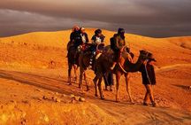 Experience of the desert of Zagora in 2 days