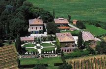 Arezzo: Wine Tasting Experience in Valdichiana area