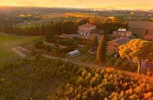Arezzo: Wine Tasting Experience in Valdichiana area