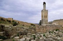 Full-Day Private Tour to Rabat from Casablanca