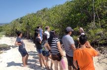 Private Charles Darwin Station Tour &Tortuga Bay Beach with lunch