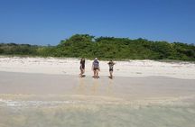 Private Charles Darwin Station Tour &Tortuga Bay Beach with lunch
