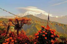 1-Day Private Dhampus Trekking Tour