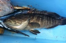 "Side Half-Day Fishing Adventure: Transfer Included!"