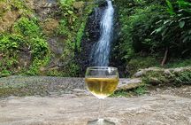 Martinique flavors in the rainforest and St Pierre - Pile et Face
