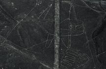Day Tour Nazca Lines From Lima