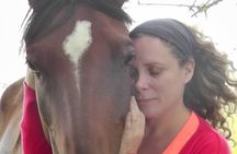 Vibrate your horse heart - healing with horses