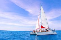 Full-Day Great Barrier Reef Sailing Trip from Cairns